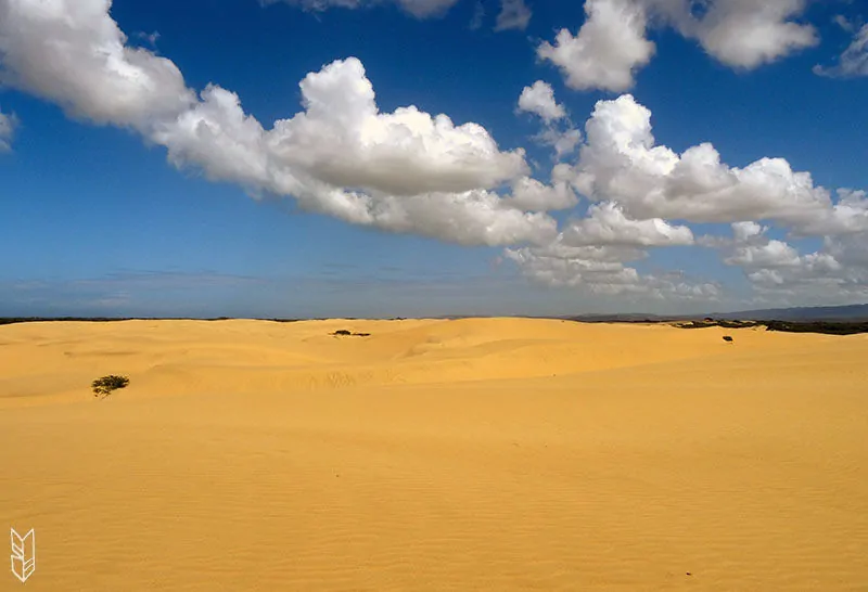 le desert de Como, au Venezuela