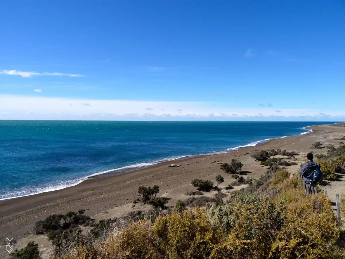 Péninsule de Valdes - Patagonie