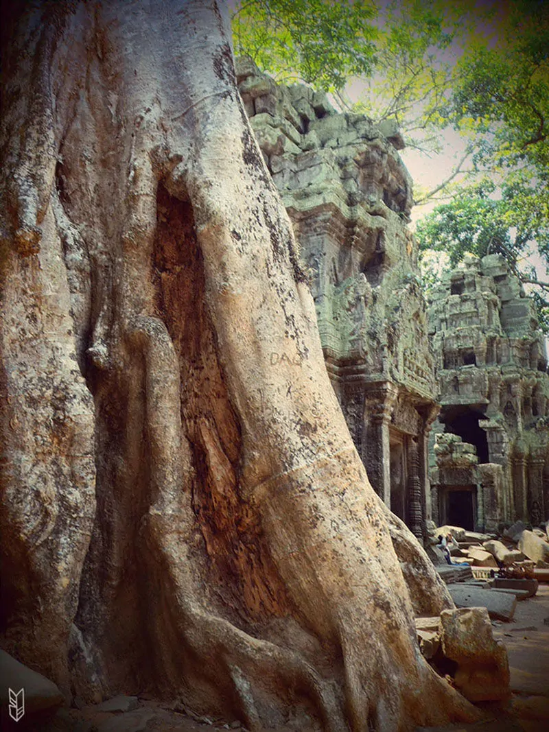 Ta Prohm - Temples d'Angkor