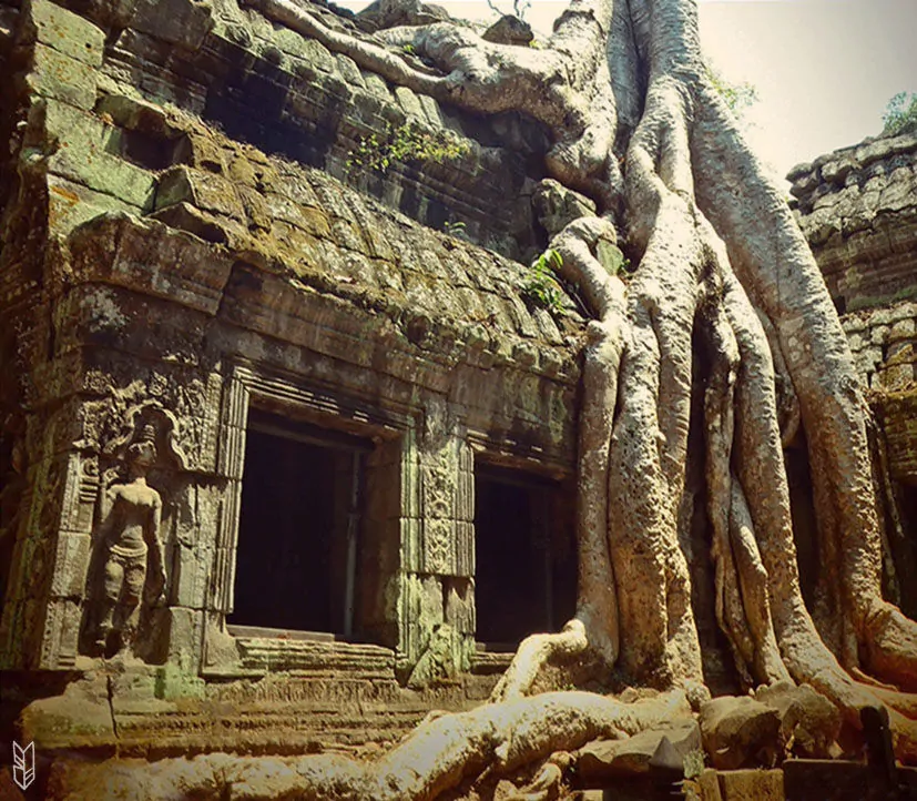 Ta Prohm - Temples d'Angkor, Cambodge