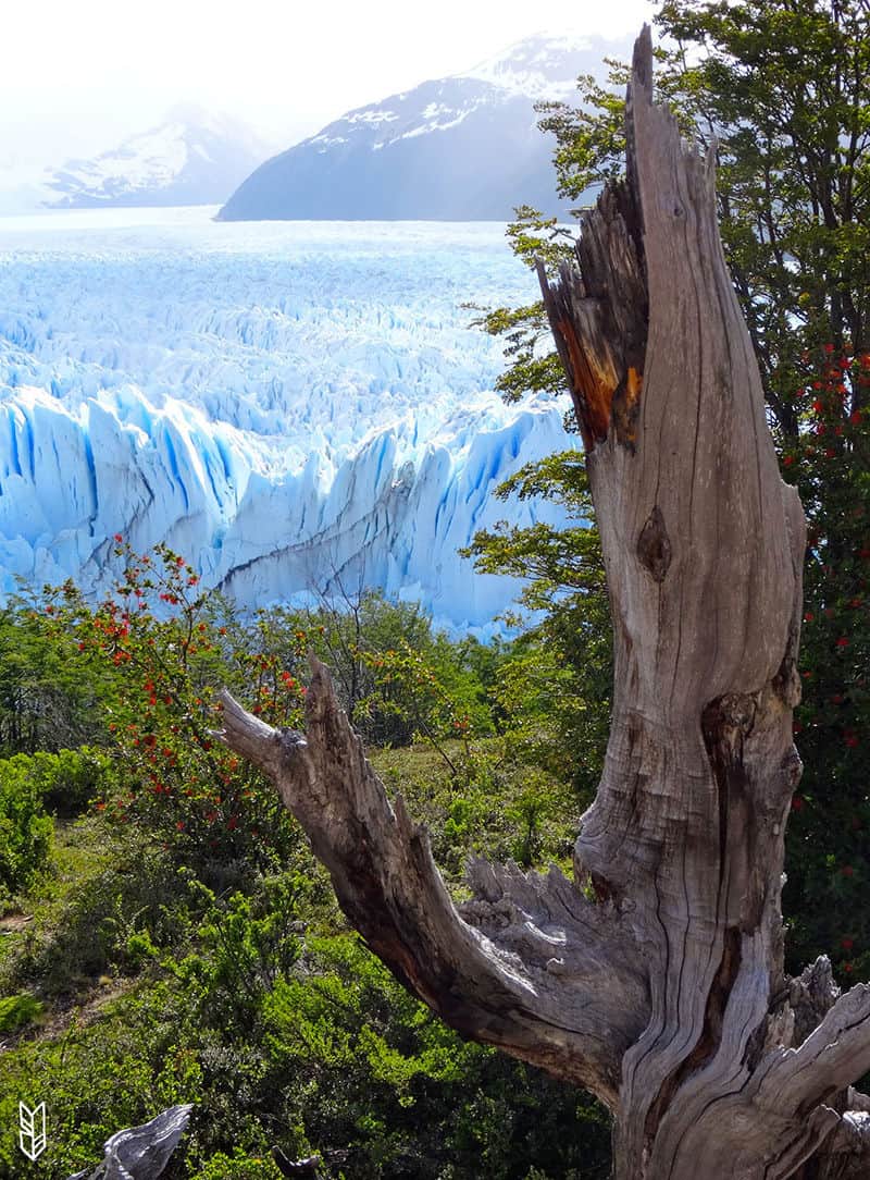les Glaciers de Patagonie