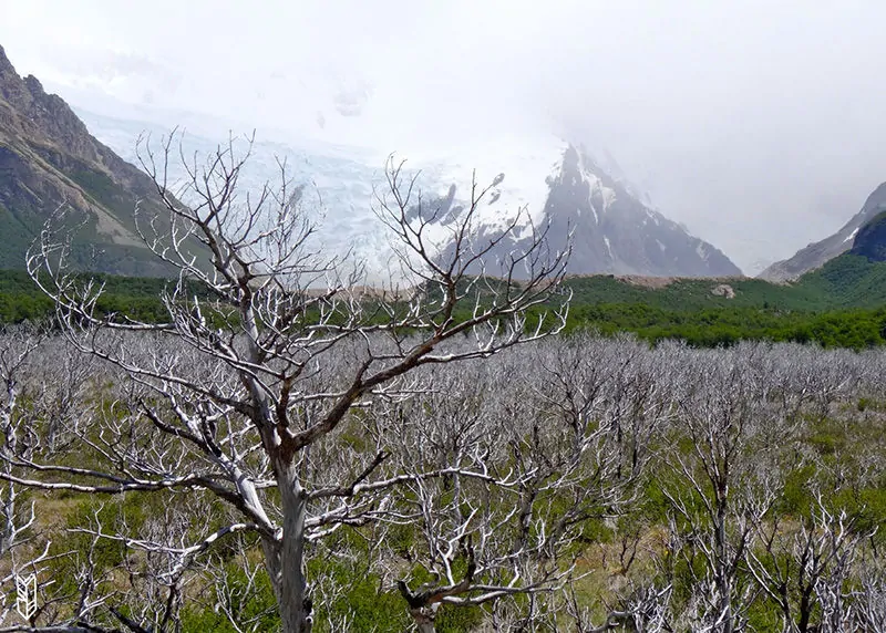 faire un Trekking en Patagonie