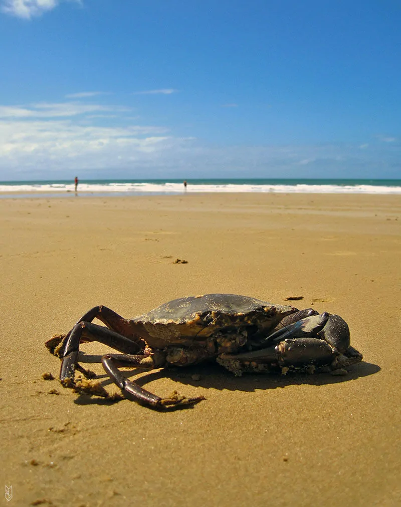 Mission Beach - Australie