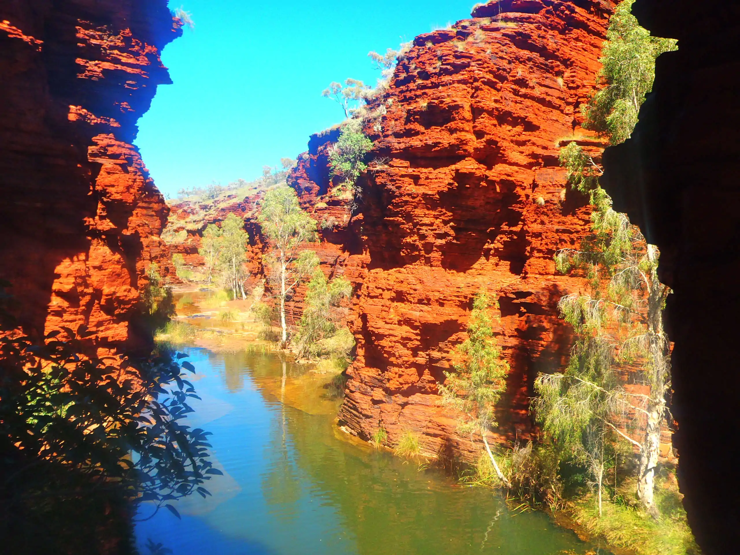 le parc national Karijiri en Australie