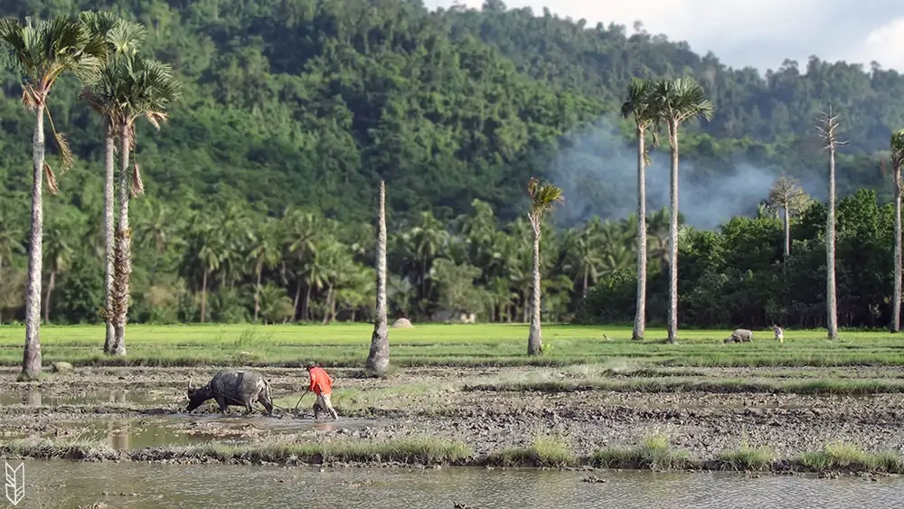 paysages philippins - Palawan