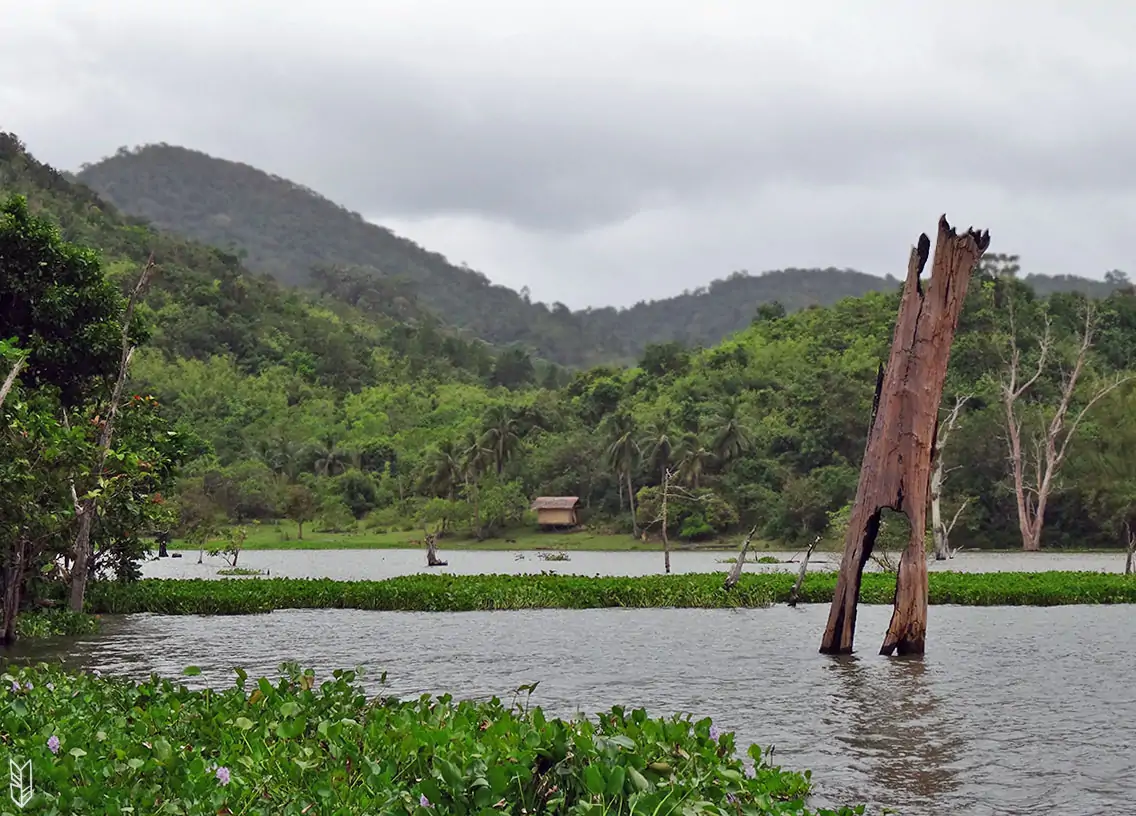 le lac Danao à Taytay, Palawan - Philippines