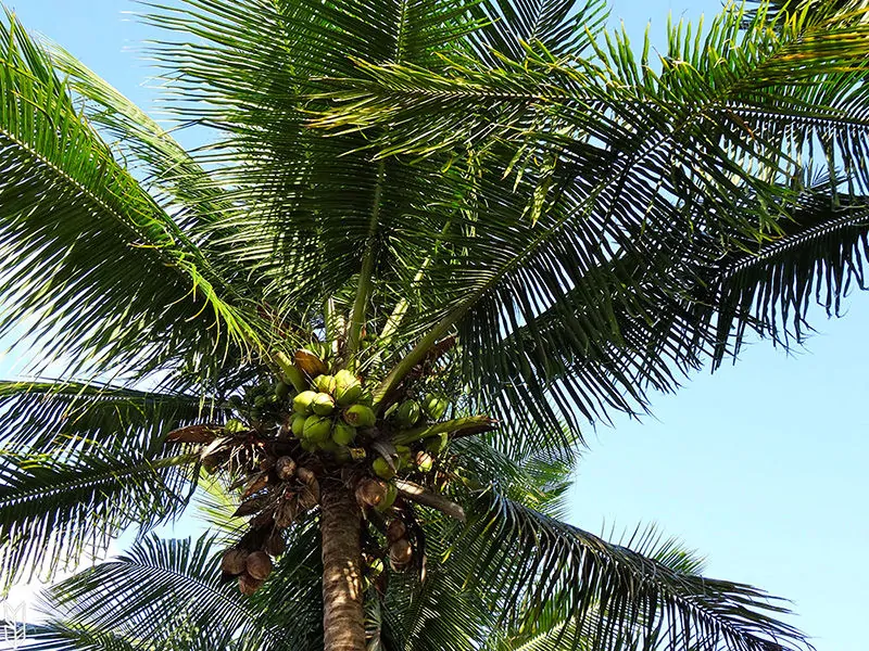 des vacances au Venezuela