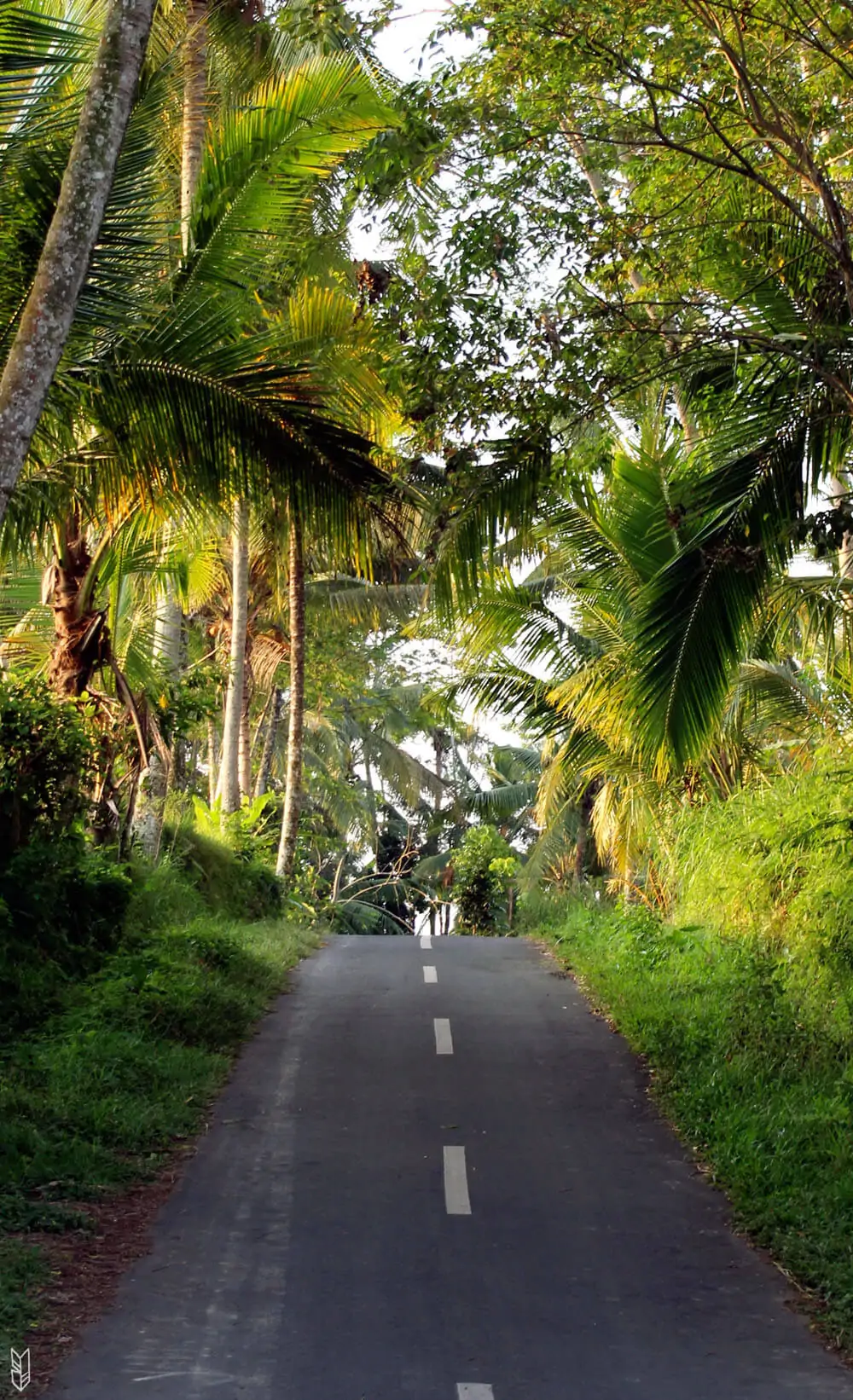 voyager à Bali en scooter