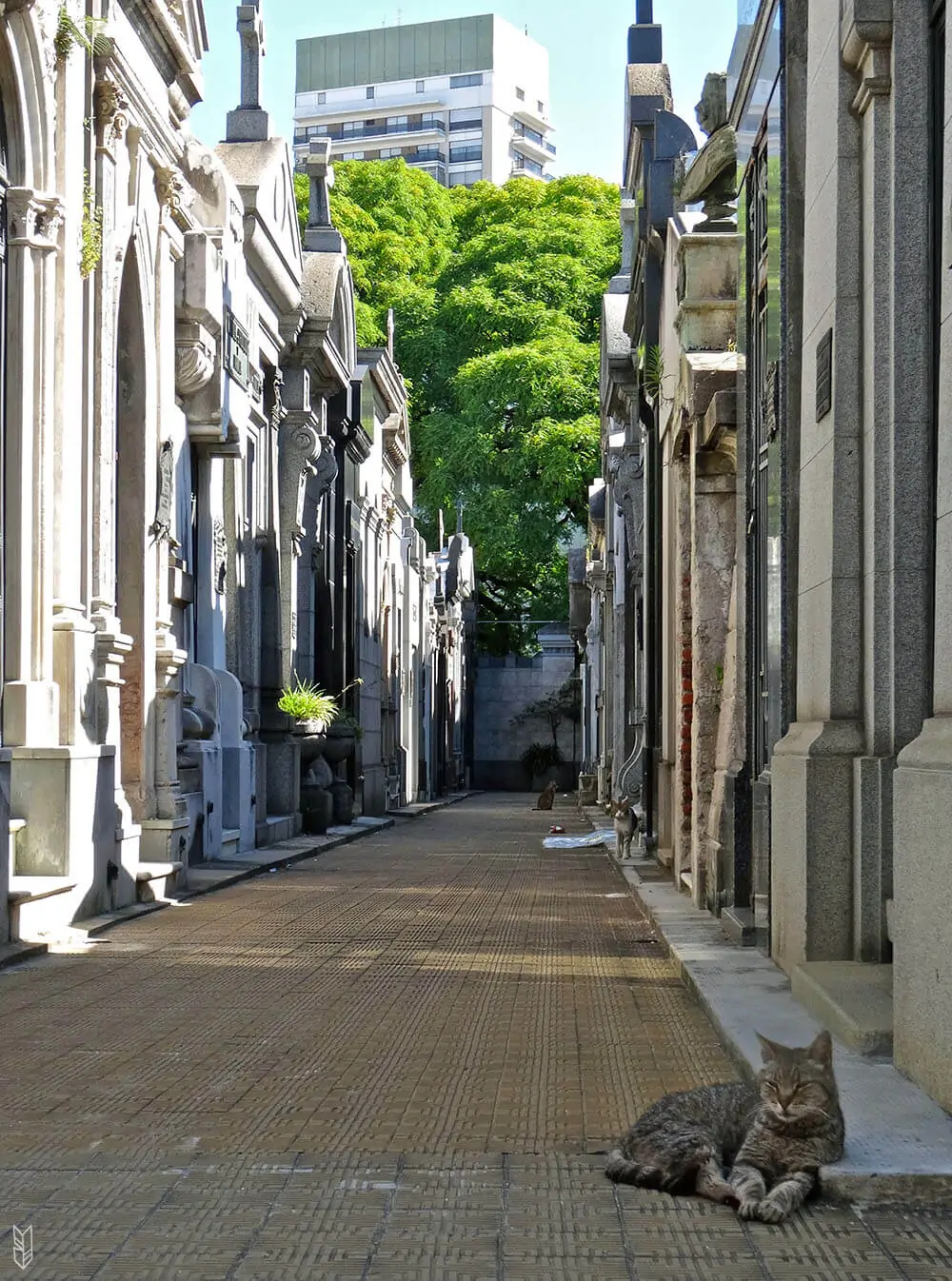 le cimetiére de la Recoleta