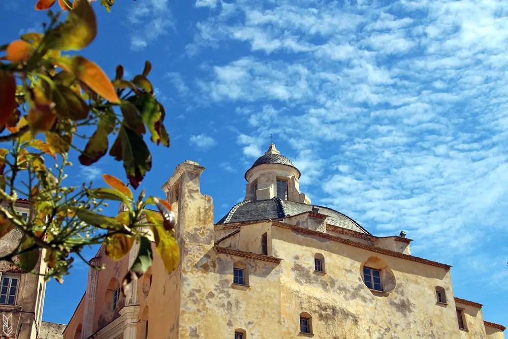 Calvi