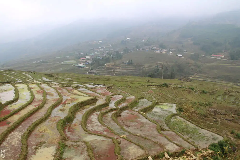 trekking dans les rizières de Sapa