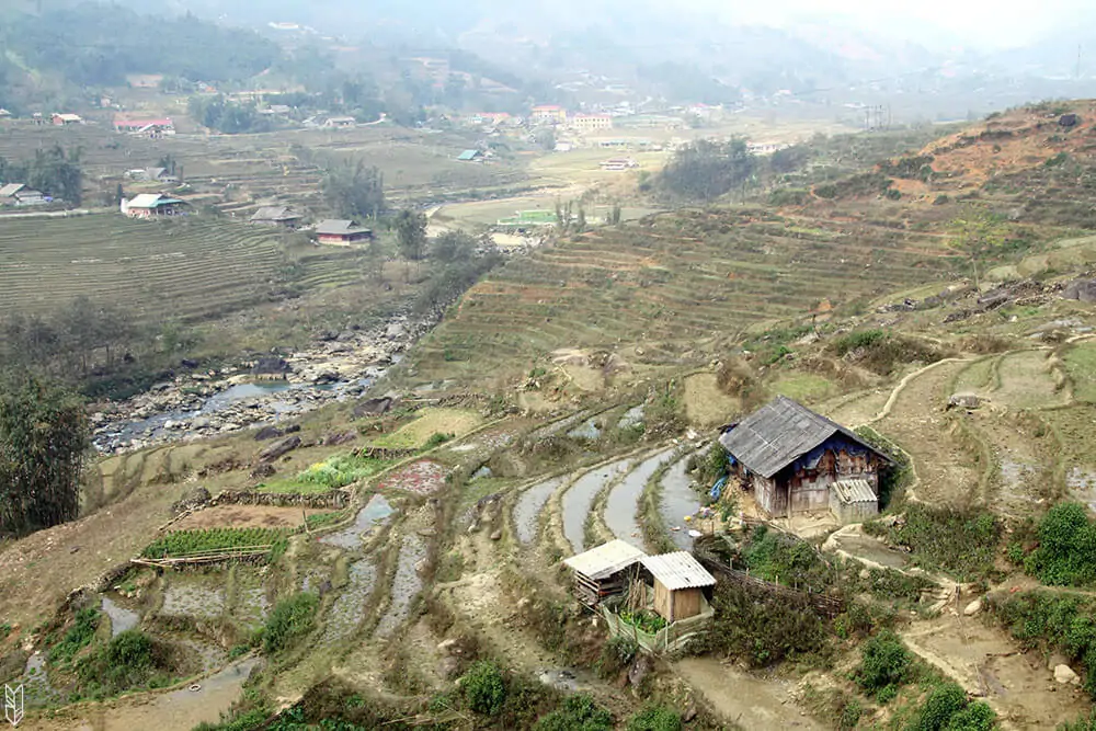 trekking dans les rizières de Sapa