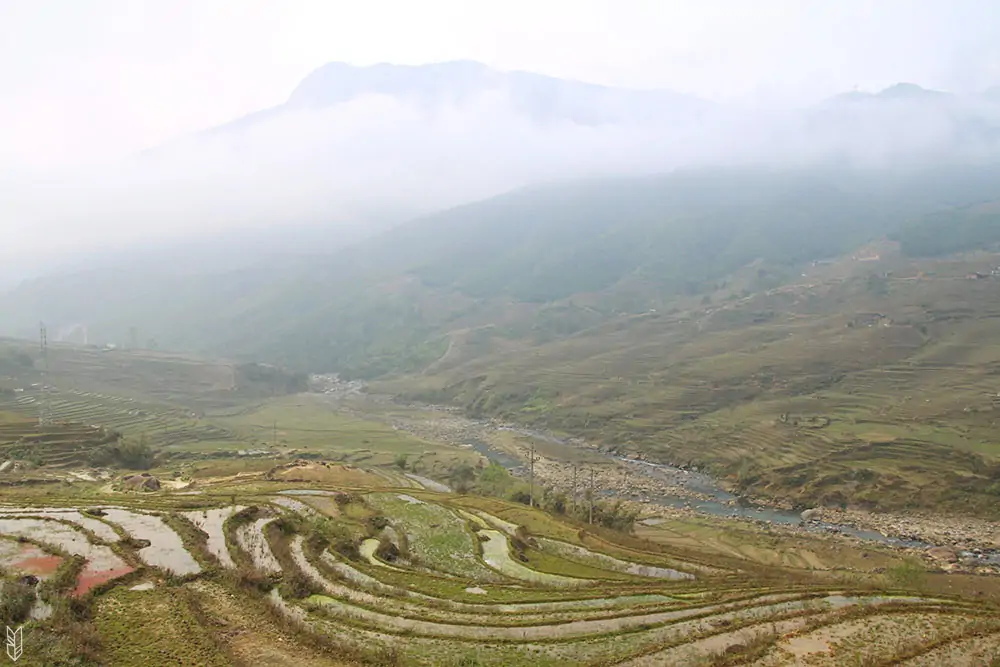 trekking dans les rizières de Sapa