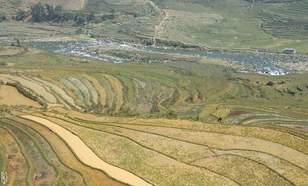 trekking dans les rizières de Sapa