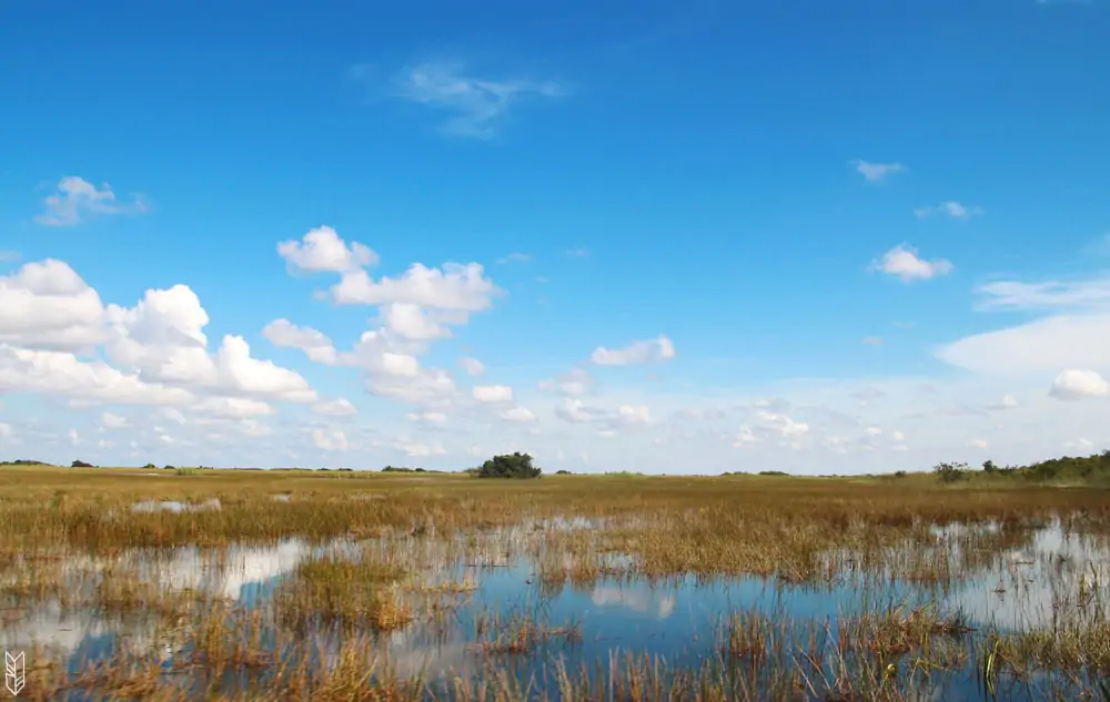 les Everglades