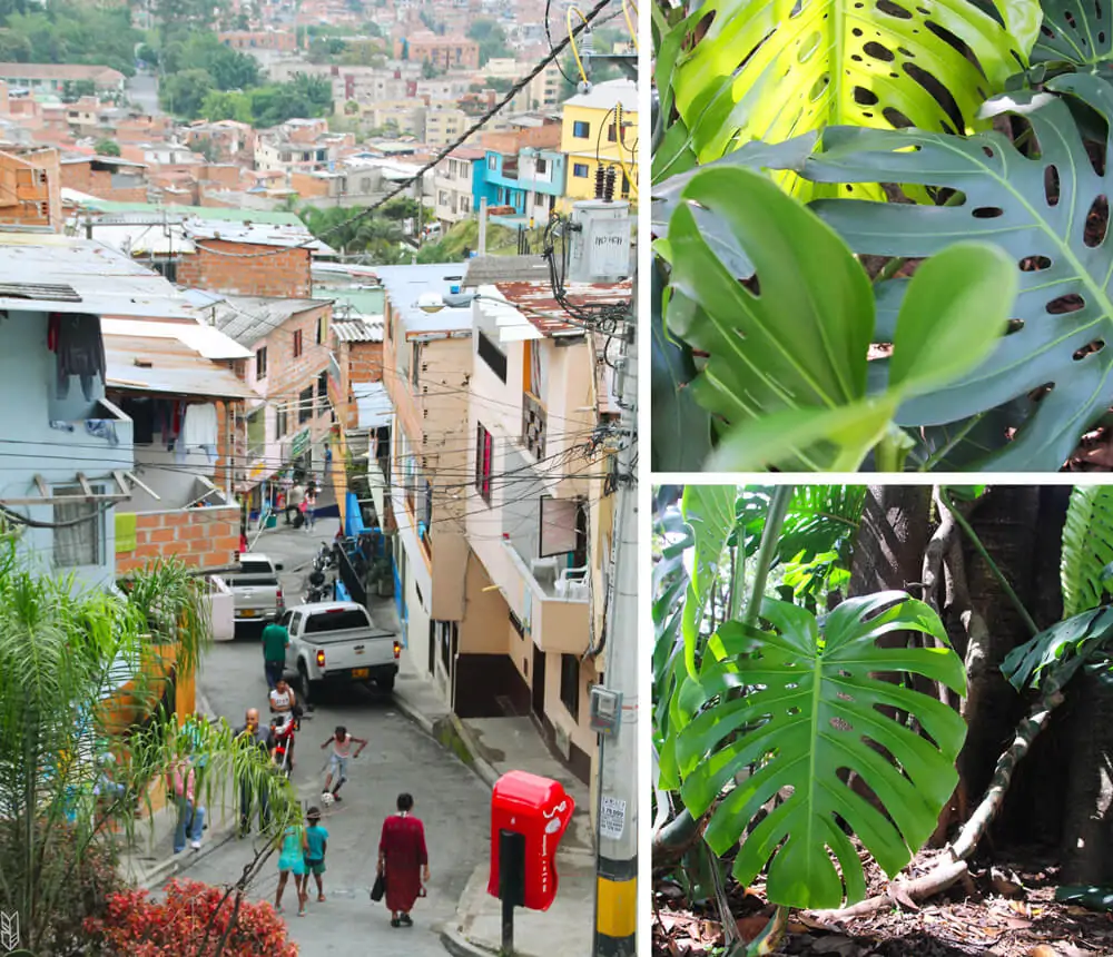 vivre à Medellín - Colombie