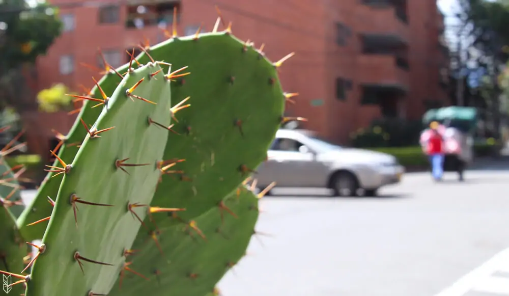 dans les rues de Laureles - Medellín