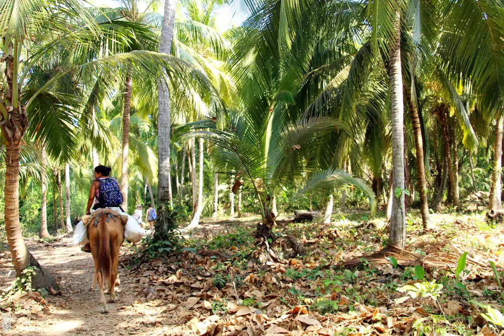 aller au Parc Tayrona en Colombie