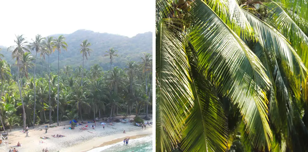 les plages du Parc Tayrona