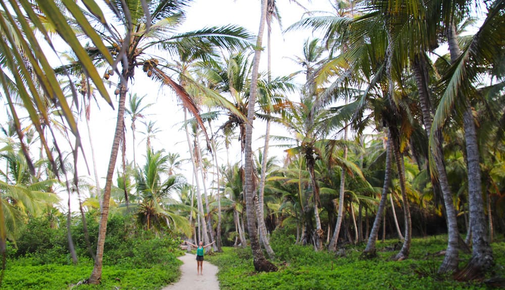 en plein milieu du Parc Tayrona