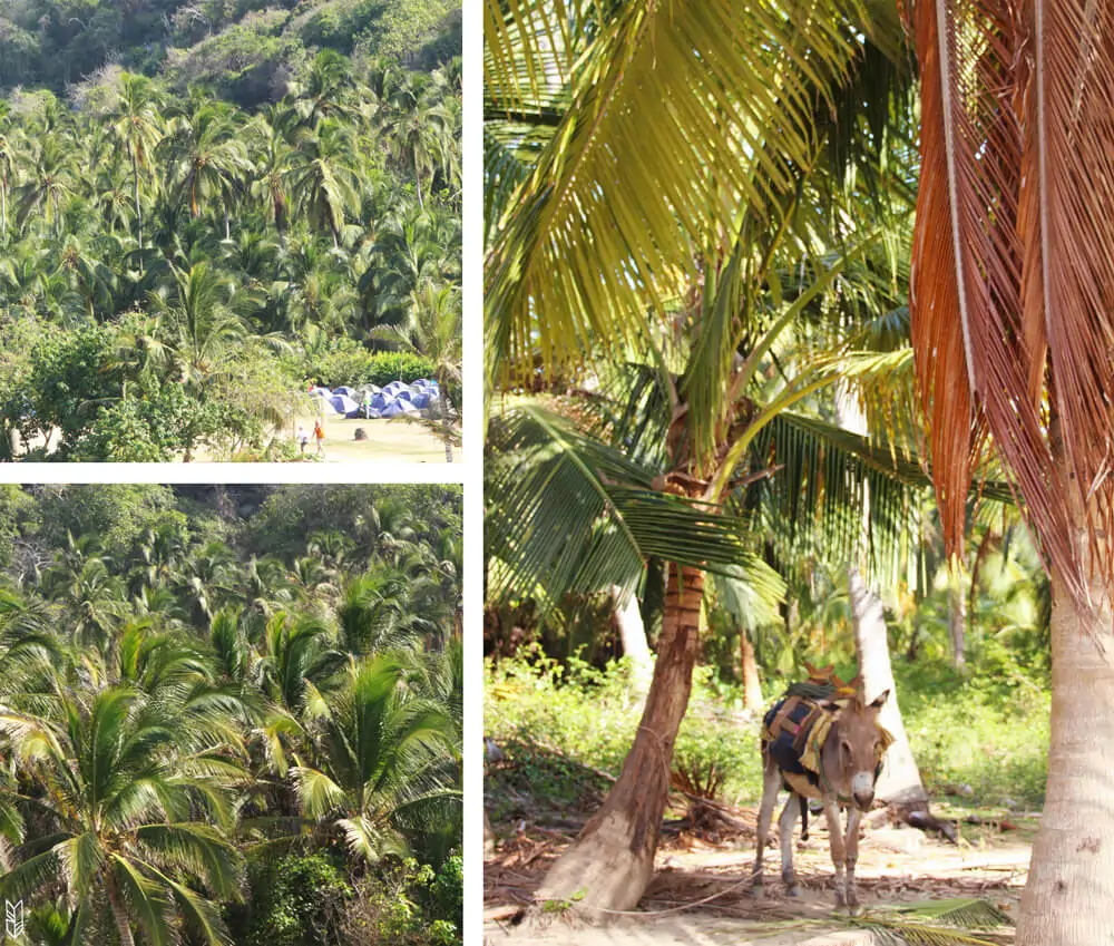 Parc Tayrona - Colombie