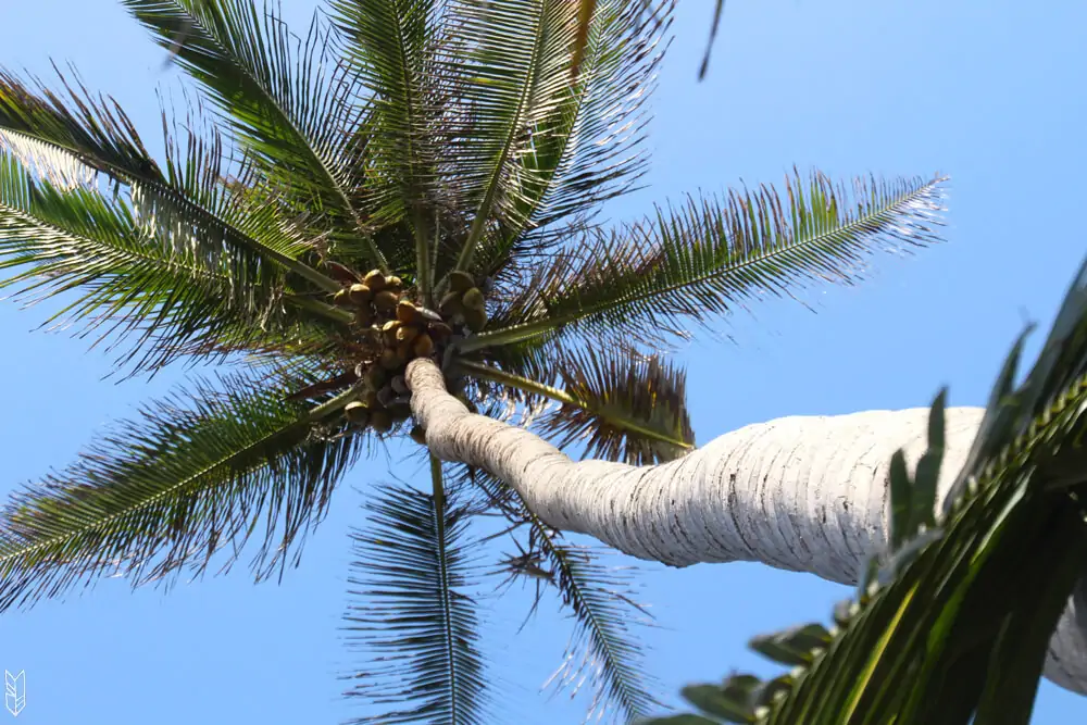 aller au Parc Tayrona en Colombie