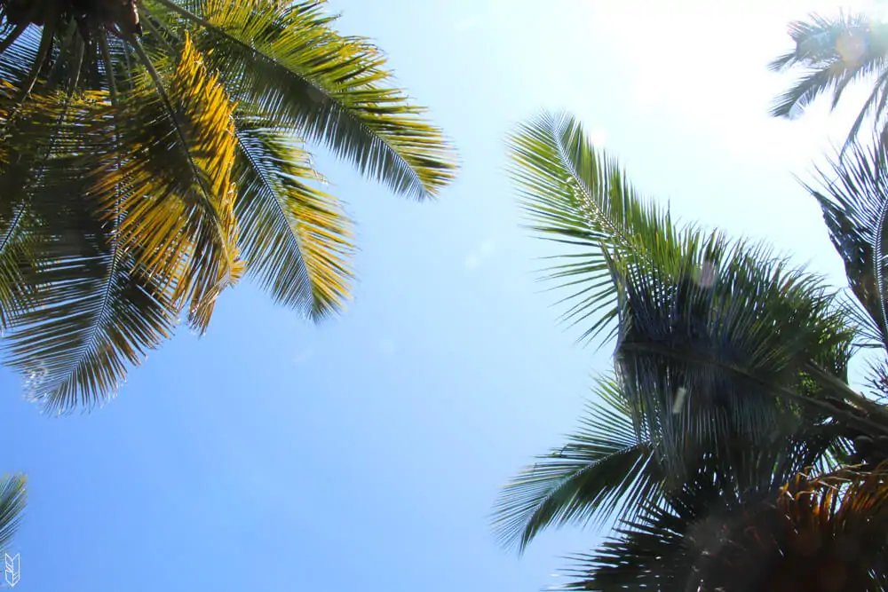 les plages du Parc Tayrona