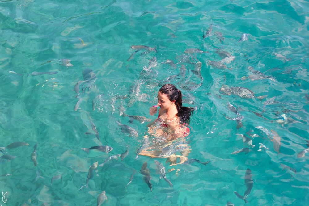 nager avec les poissons à San Andrés