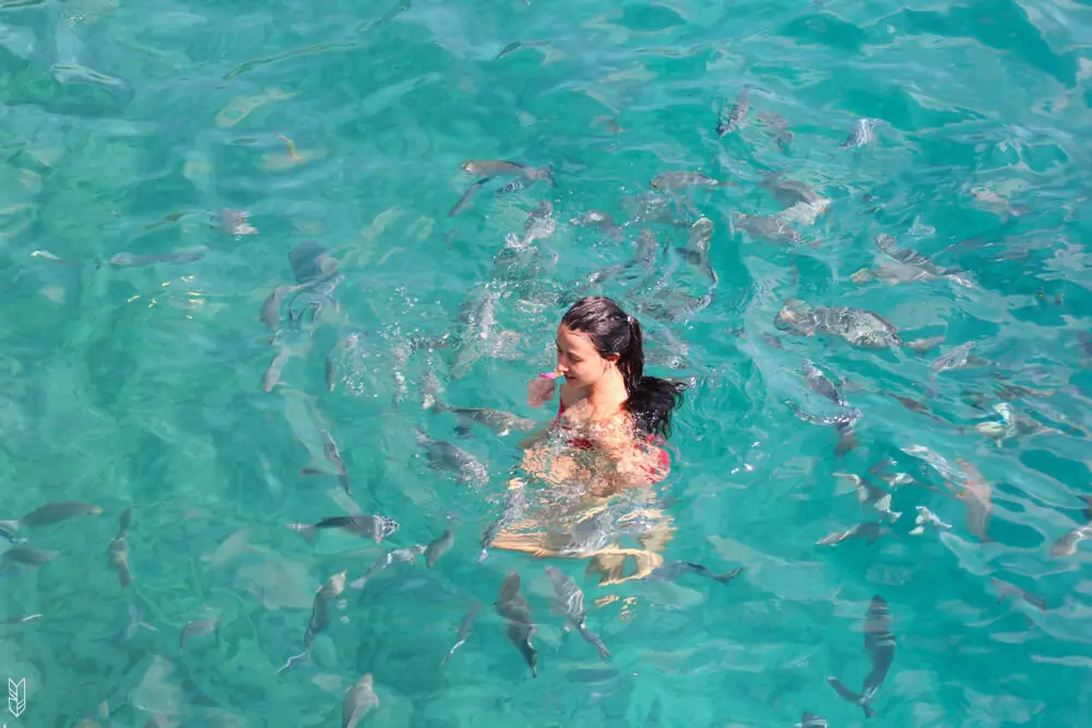 nager avec les poissons à San Andrés