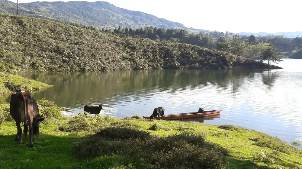 faire du yoga dans une finca à Guatapé