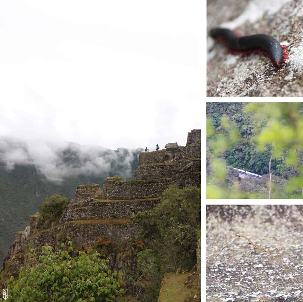 Le Huayna Picchu