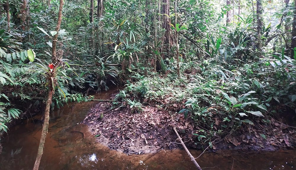 Trekking en Amazonie - dormir dans la jungle