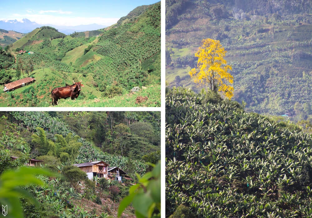 Les randonnées à Jardín en Colombie