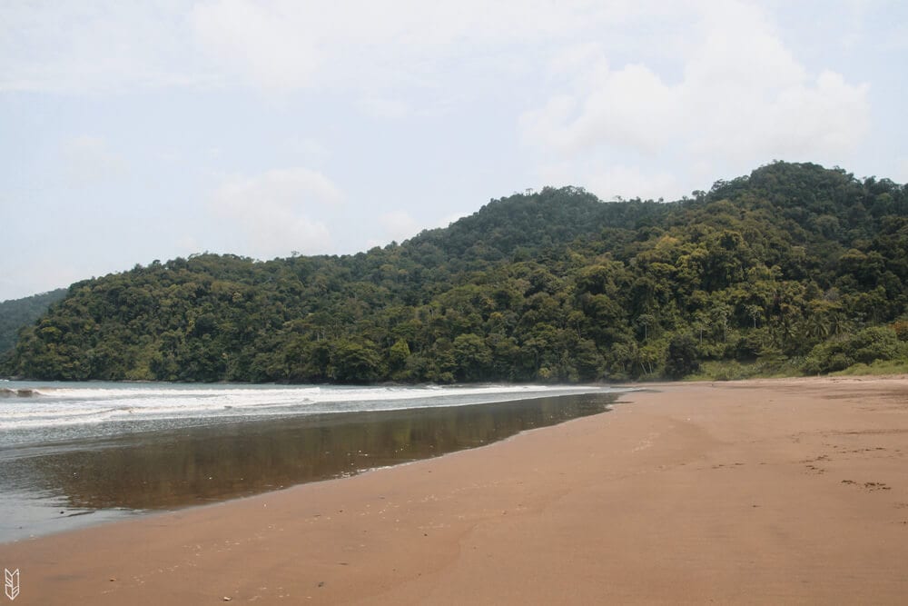 quand la mer rencontre la jungle