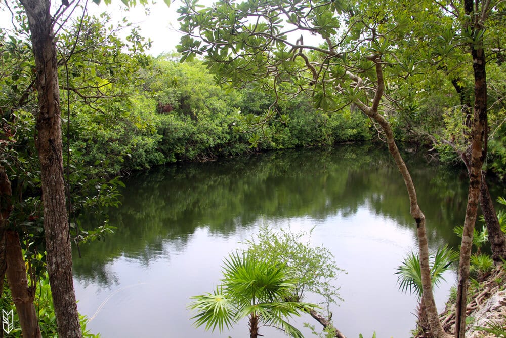 Cenote des res ruines Xel-ha - Tulum