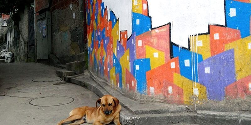 la favela Santa Marta à Rio