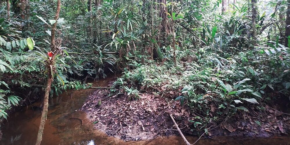 Trekking en Amazonie - dormir dans la jungle